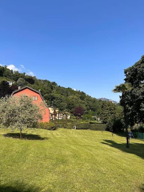 Spring, Garden, Garden view