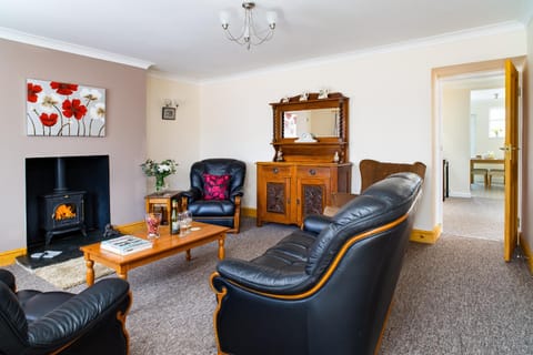 Living room, Seating area, fireplace