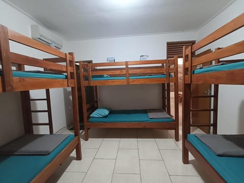 Bed, Photo of the whole room, Bedroom, bunk bed