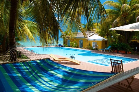 Garden, Swimming pool, Swimming pool