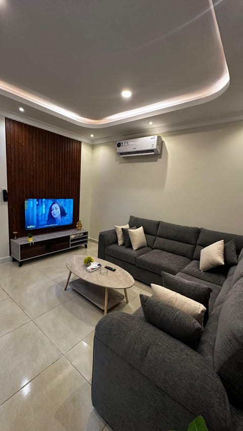 Communal lounge/ TV room, TV and multimedia, Living room, Seating area, air conditioner