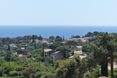 Natural landscape, Sea view