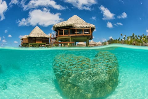 Hotel Kia Ora Resort & Spa Resort in French Polynesia