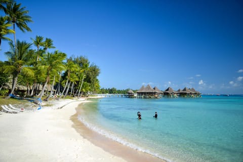 Hotel Kia Ora Resort & Spa Resort in French Polynesia