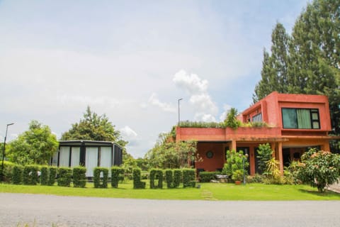 Natural landscape, Garden view