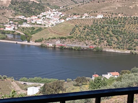 Casa Barqueiro House in Vila Real District