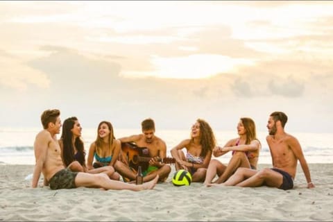 Day, People, Natural landscape, Beach, Guests, Sea view, group of guests