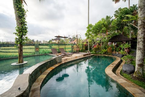 Garden, Garden view, Pool view, Swimming pool