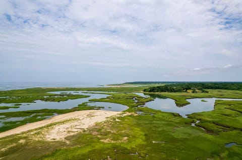 Tenth of a Mile Walk to Boat Meadow Landing Maison in North Eastham