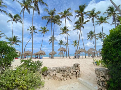 LOS CORALES VILLAS and SUITES - BEACH CLUB, SPA, RESTAURANTS Hotel in Punta Cana