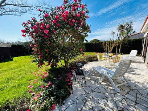 Patio, Garden, Garden view, sunbed