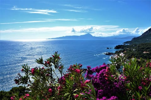 Dalle Zie B&B Bed and Breakfast in Maratea