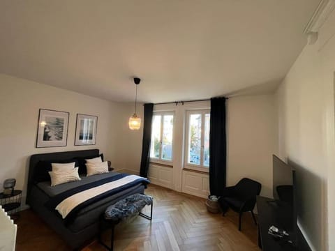 Luxuswohnung in der Stadt Bern Apartment in City of Bern