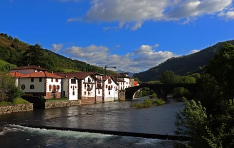 Natural landscape, River view