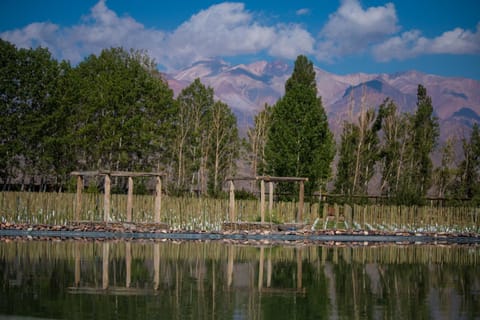 Natural landscape, Lake view