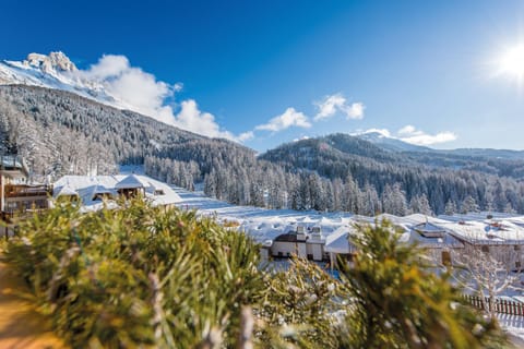 Natural landscape, Winter, View (from property/room)