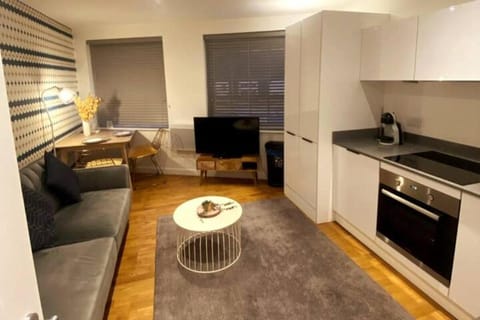 TV and multimedia, Kitchen or kitchenette, Living room, Photo of the whole room, Seating area, Dining area, minibar, pet friendly, stove