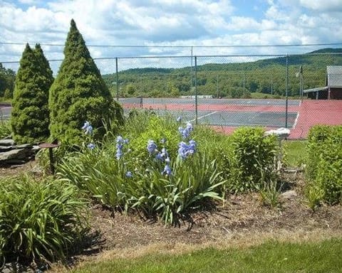 Tennis court