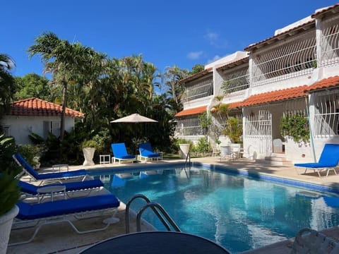 Pool view, Swimming pool, sunbed