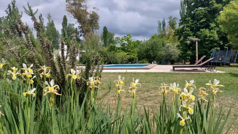 Casona Olivar Bed and Breakfast in Luján de Cuyo