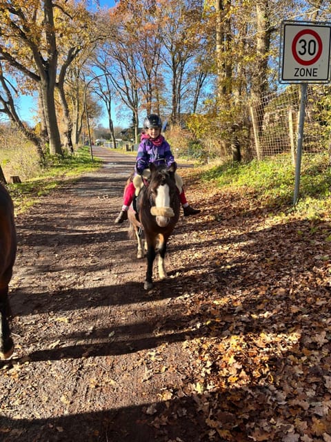 Horse-riding, Horse-riding, Animals, children