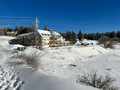 Property building, Winter