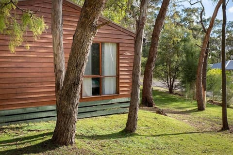 Bagara Cottage House in Halls Gap