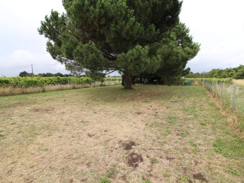 Maison rénovée 6 pers avec jardin clos, calme et proche centre historique - St-Georges-d'Oléron - FR-1-246A-288 House in Saint-Georges-d'Oléron