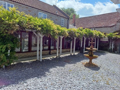 Property building, Garden, Garden view