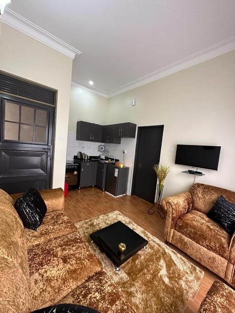 D-King furnished apartments Condo in Kampala