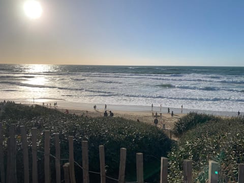 Natural landscape, Beach