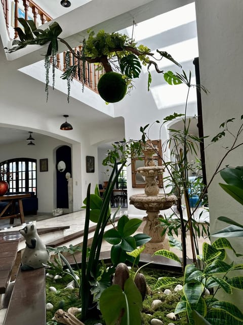 Casa Luana: Luxury Oasis designer villa with pool and garden Villa in Puerto Vallarta