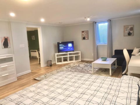 Cute one bedroom by Airport Condo in Minneapolis