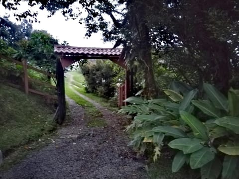 Cabaña Bosque del Río House in Monteverde
