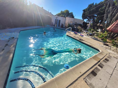 Day, Natural landscape, Pool view, Swimming pool, sunbed