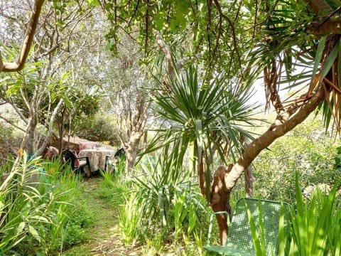 Ca'n Nicolau Casa in Deià