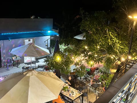 Patio, Night, Garden, Garden view