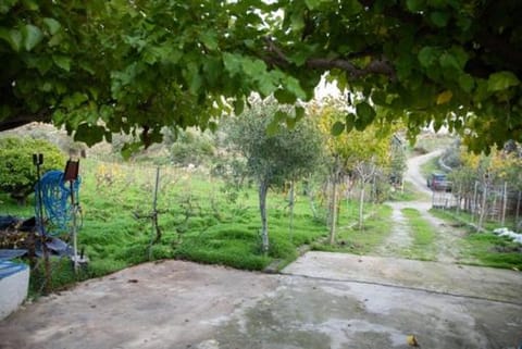 Vineyard Vathis House in Kalymnos