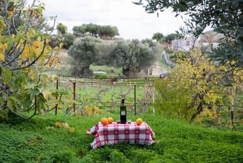 Vineyard Vathis House in Kalymnos