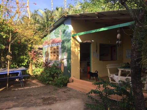 Patio, Facade/entrance