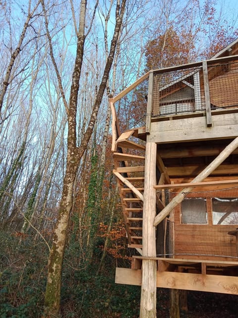 Les hébergements insolites de Quénécan Nature lodge in Brittany