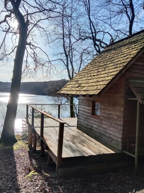 Lake view