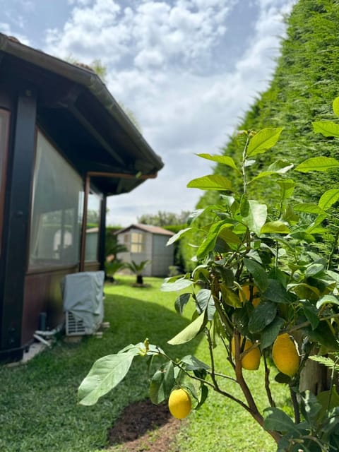 Garden, Garden view