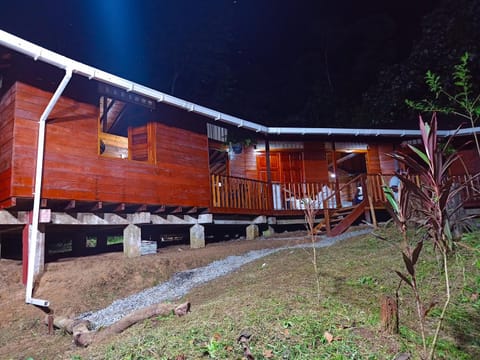 Property building, Night, Garden view