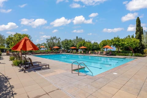 Day, Garden view, Pool view, Swimming pool, Swimming pool, sunbed
