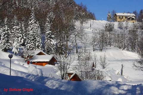 Winter, Garden, View (from property/room)