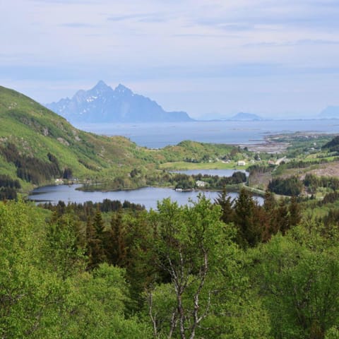 Day, Natural landscape, Summer, Mountain view