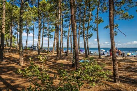 Natural landscape, Activities, Beach