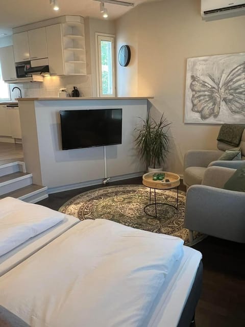 TV and multimedia, Living room, Seating area, air conditioner