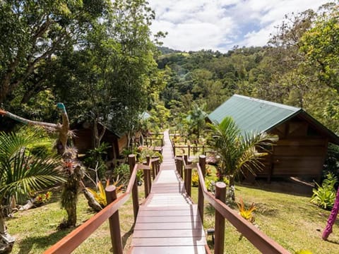 Oasis de Tendéa - Bali à Farino Bed and Breakfast in New Caledonia